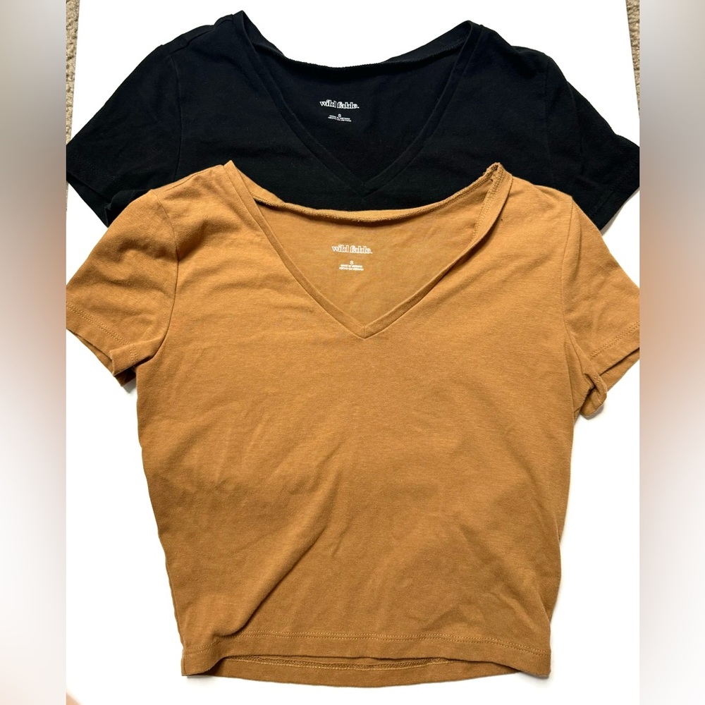 Brown and Black Wild Fable V Neck Crop Tops